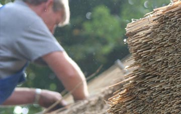 professional Browtop thatchers