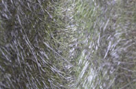 Browtop fibreglass roof work